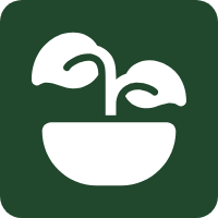 Cupping